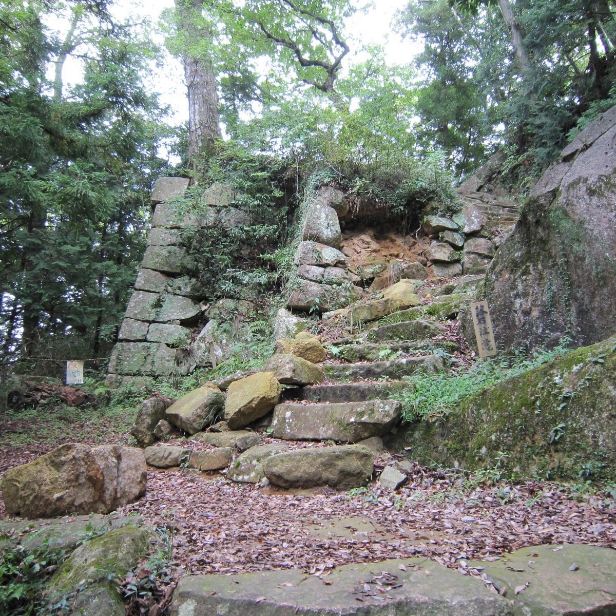 ⛩️ 사시노 신사(사시노 진자) 이미지 5